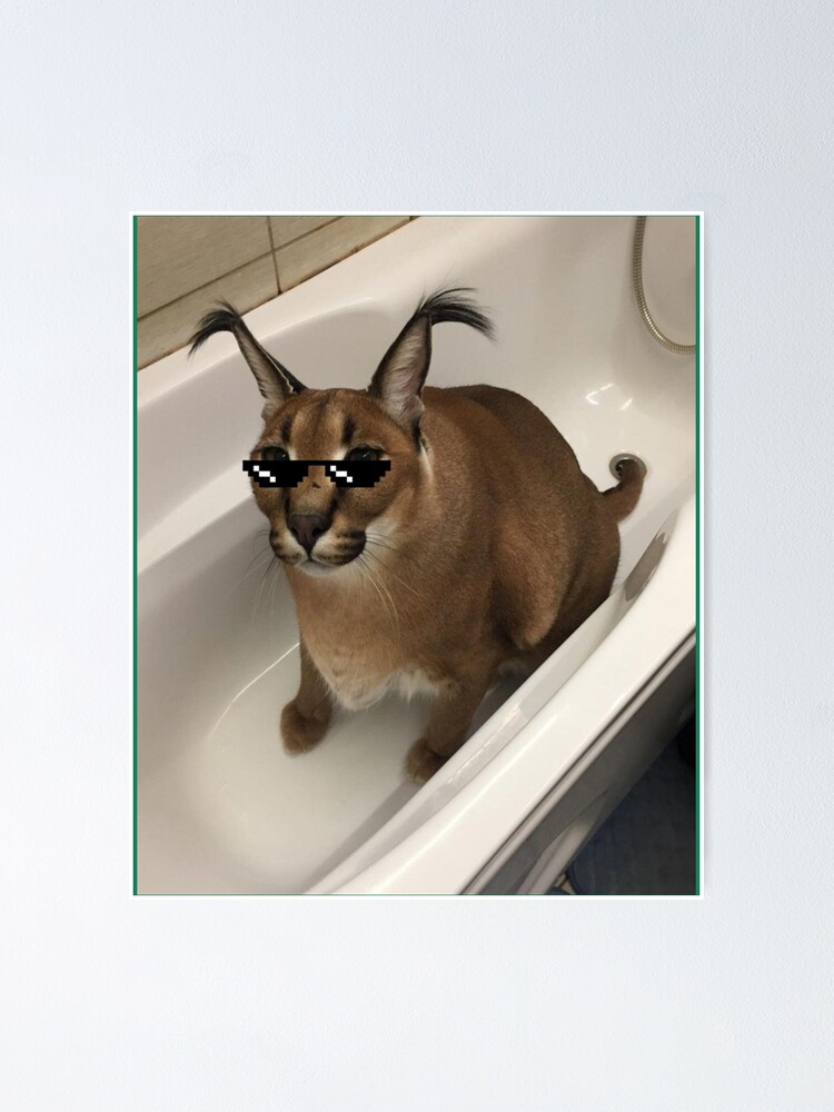 Big Floppa, Cat Meme, Your Balls I Require Them, Cat in the Tub