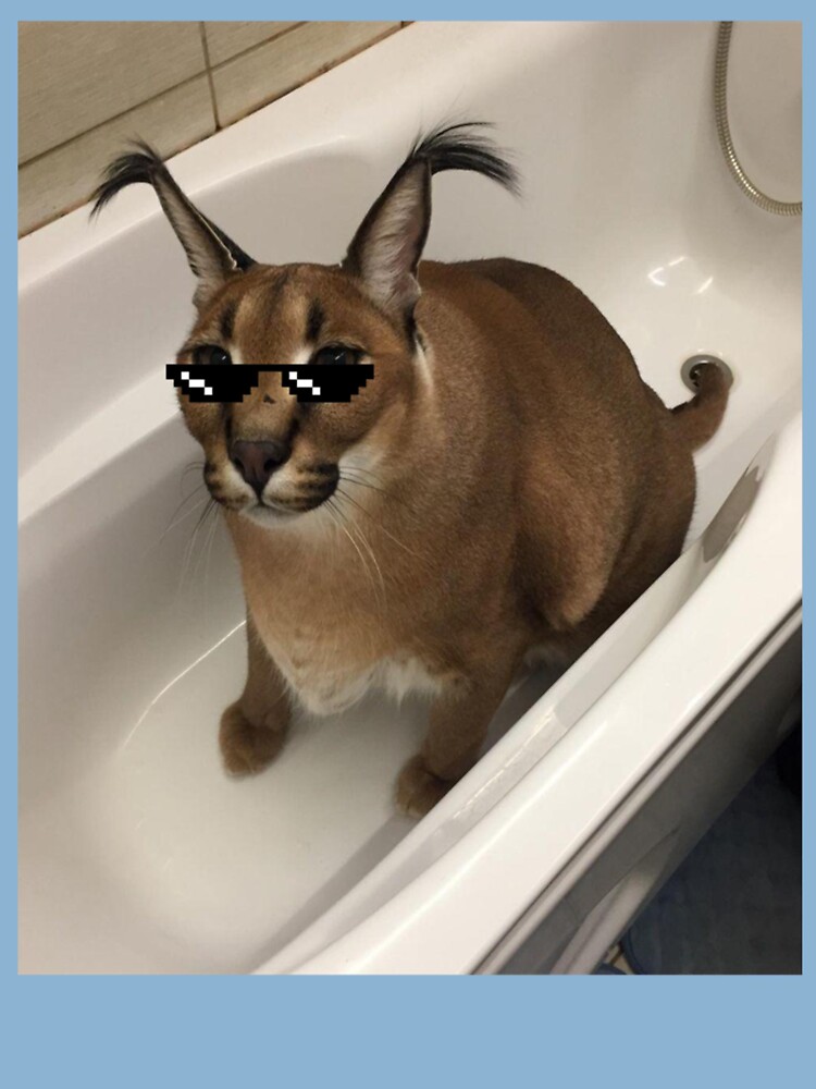  Cutest Bathtub Big Floppa My Beloved Caracal Cat Meme