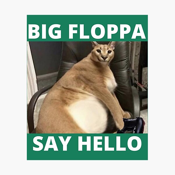 Meet 'Big Floppa' - the hero of the most popular cat meme of 2020