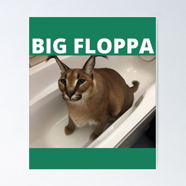 big floppa cat  Poster for Sale by ThekidsplaceS99