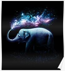 Elephant Splash Poster