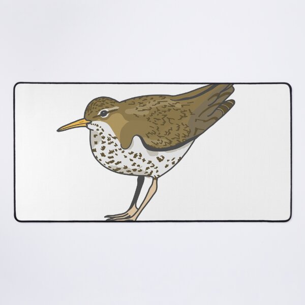 Item preview, Spotted Sandpiper! designed and sold by okie-dokie-art.