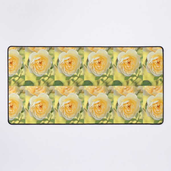 Item preview, David Austin Rose - 'Graham Thomas' designed and sold by imaginethis.