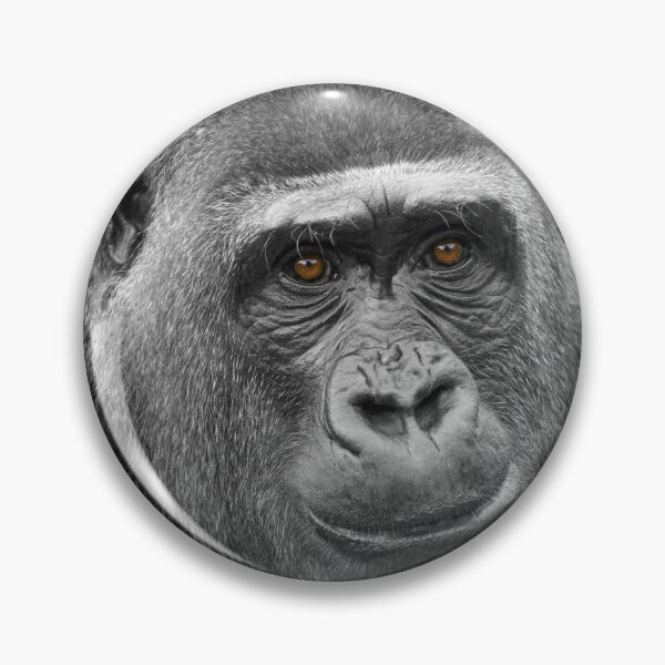 Item preview, Gorilla's Face designed and sold by rawshutterbug.