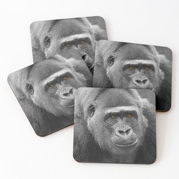 Item preview, Gorilla's Face designed and sold by rawshutterbug.