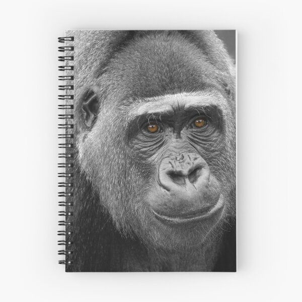 Item preview, Gorilla's Face designed and sold by rawshutterbug.