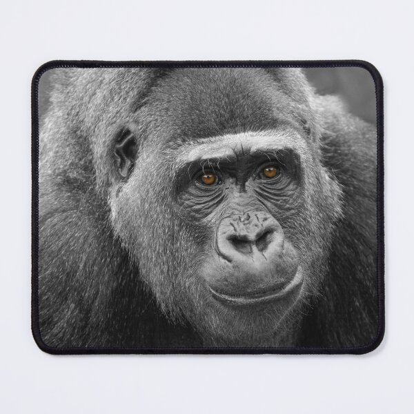 Item preview, Gorilla's Face designed and sold by rawshutterbug.