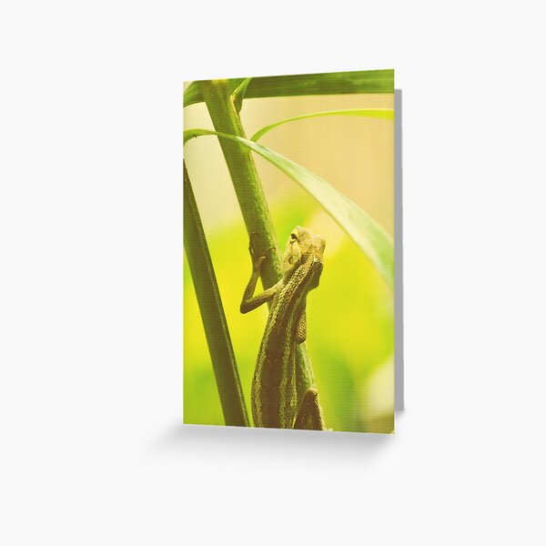 The Visitor Greeting Card