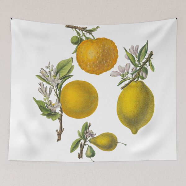 Item preview, FF - Citrus and Oranges designed and sold by imageresource.