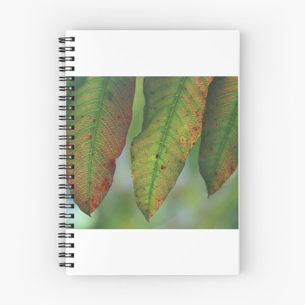 Item preview, Leaves designed and sold by Ioneone.
