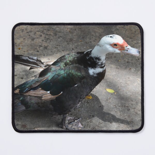 Item preview, duck designed and sold by teacup21.