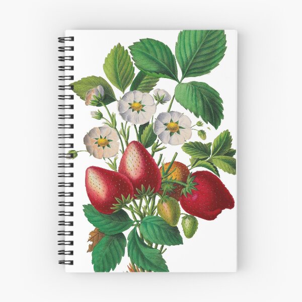 Item preview, FF - Strawberries - Flore d'Amérique designed and sold by imageresource.