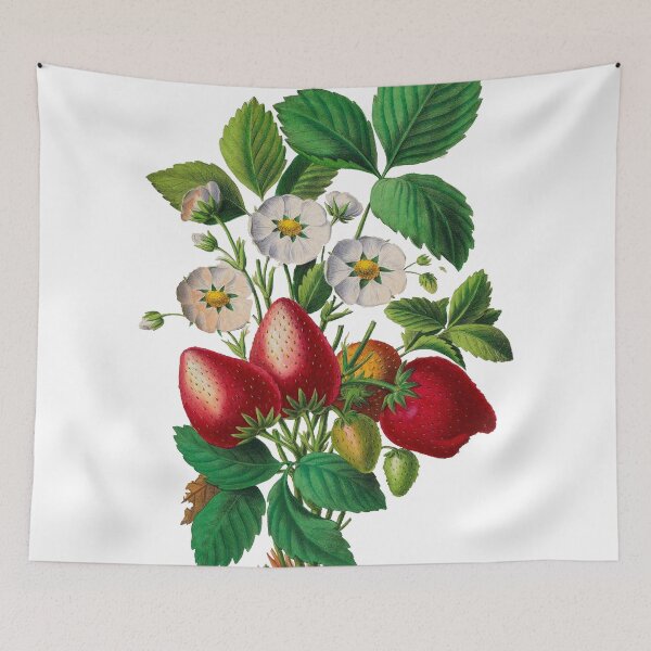 Item preview, FF - Strawberries - Flore d'Amérique designed and sold by imageresource.