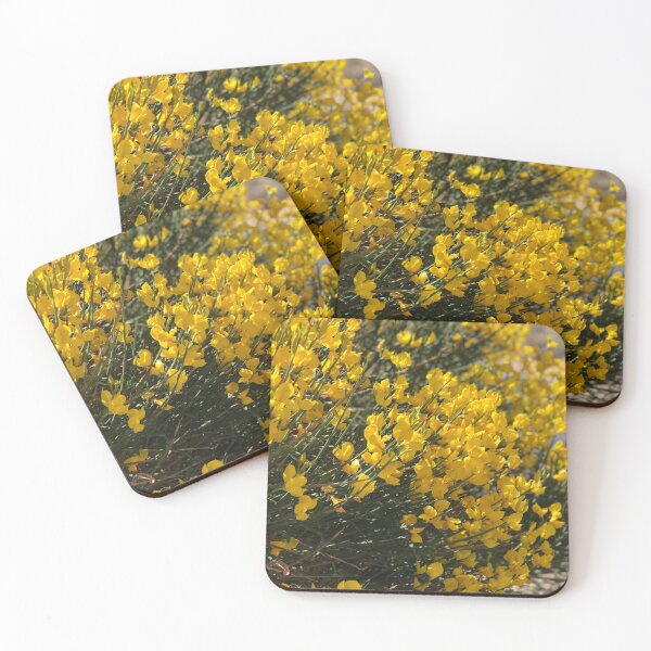Item preview, Spanish Broom designed and sold by Valerie Valentine.