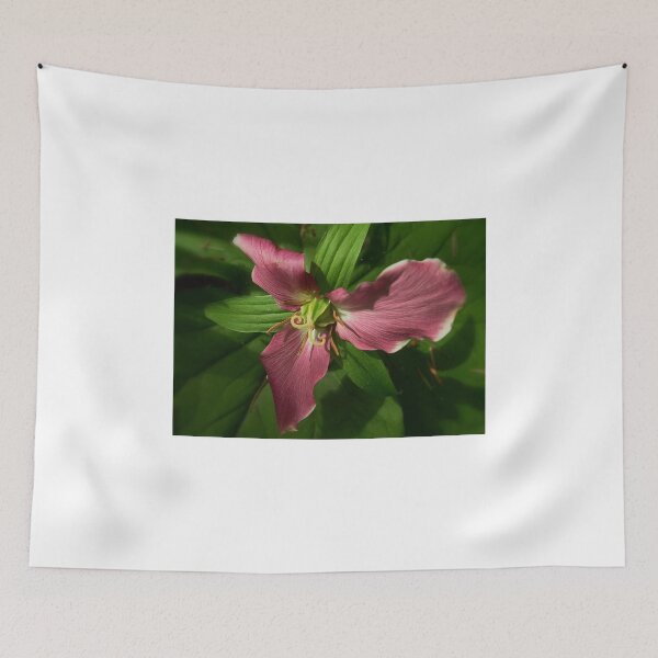Item preview, Wild Pink Trillium designed and sold by AnnDixon.