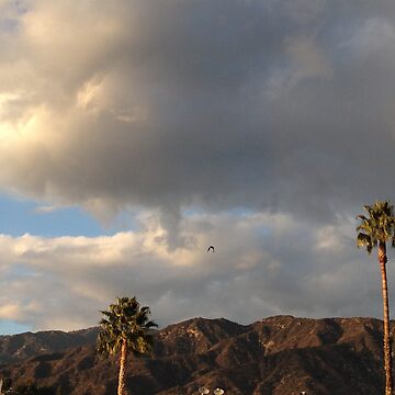 Artwork thumbnail, Stillness Gifts Palm Trees and Clouds - california photography by stillnessgifts