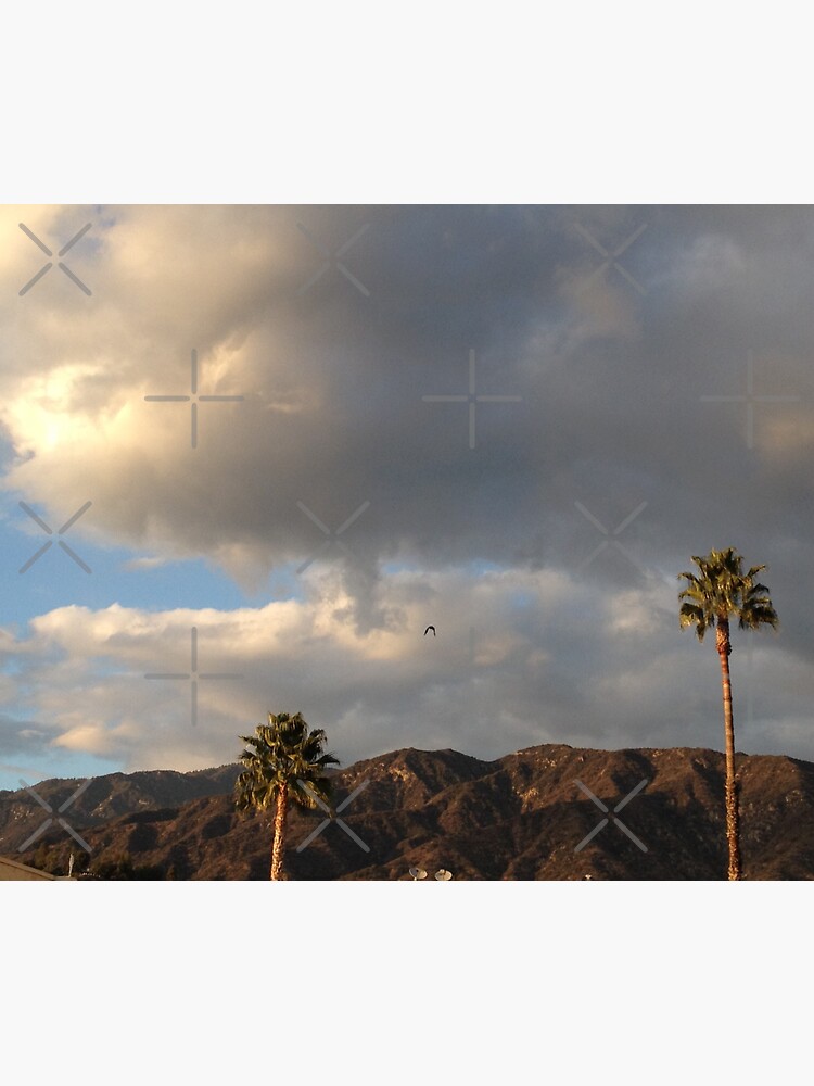 Thumbnail 3 of 3, Sticker, Stillness Gifts Palm Trees and Clouds - california photography designed and sold by stillnessgifts.