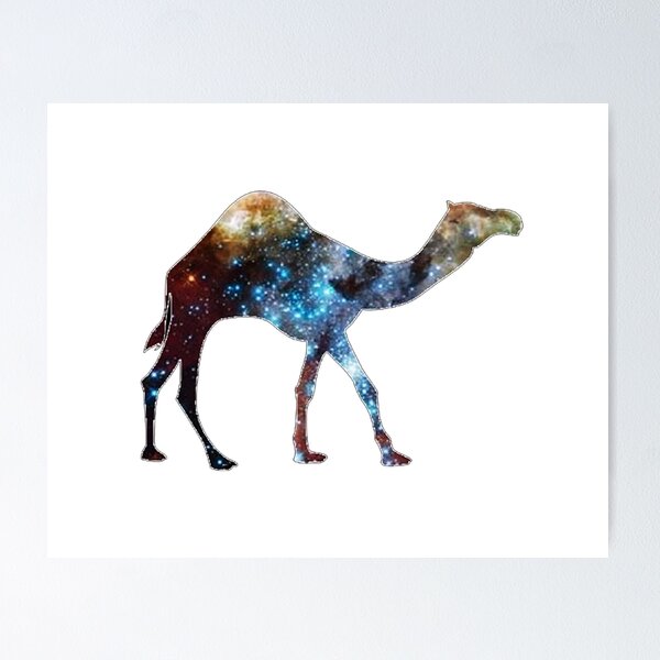 Camel Toe Wall Art for Sale