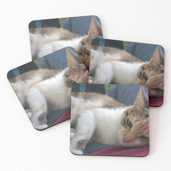 Item preview, zucchini my cat designed and sold by TriForceDesign.