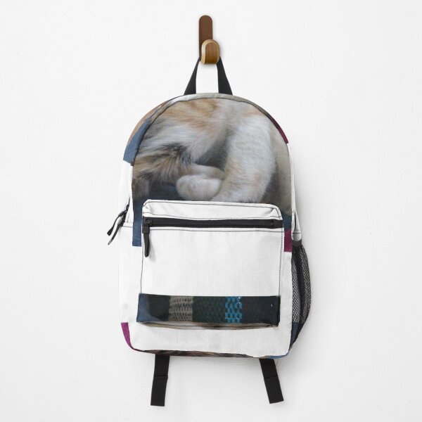 Item preview, zucchini my cat designed and sold by TriForceDesign.
