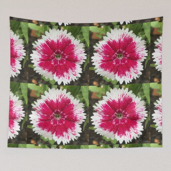 Item preview, Pink and white dianthus  designed and sold by Luilui7.