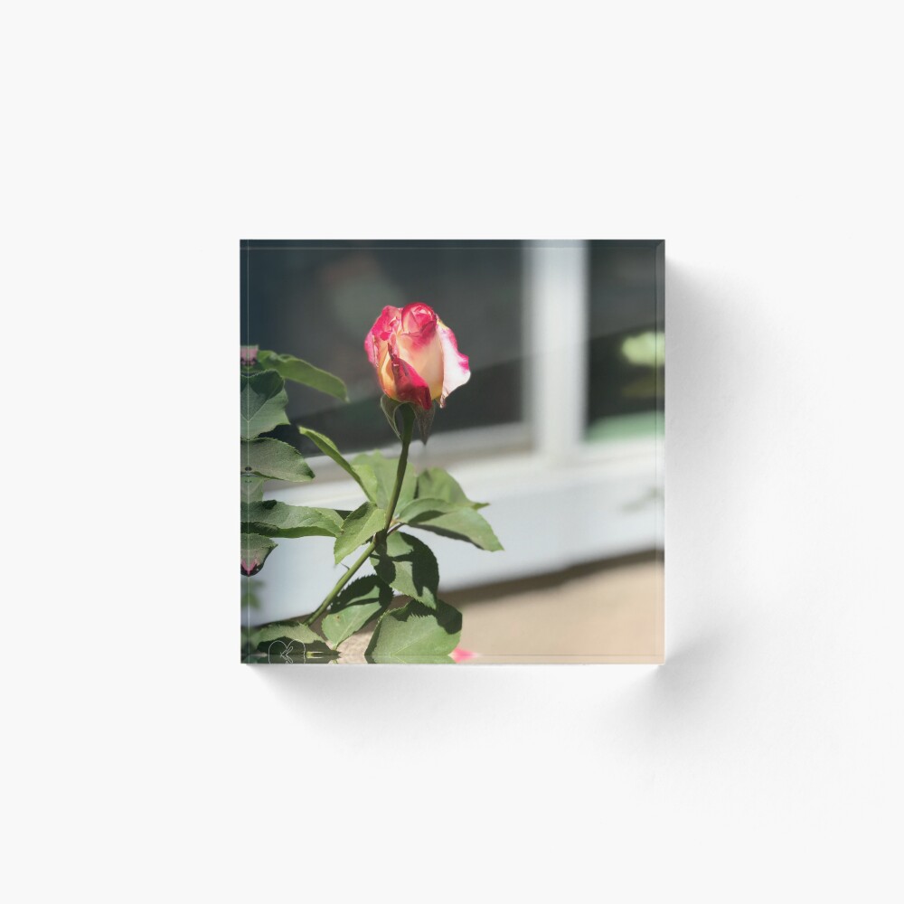 Artikel-Vorschau von Acrylblock, designt und verkauft von ValValentine.