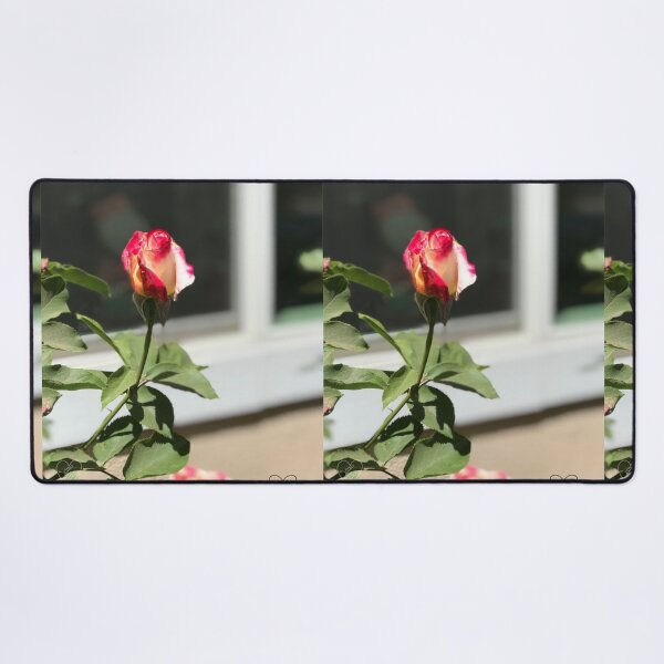 Item preview, Dipped in Pink designed and sold by Valerie Valentine.