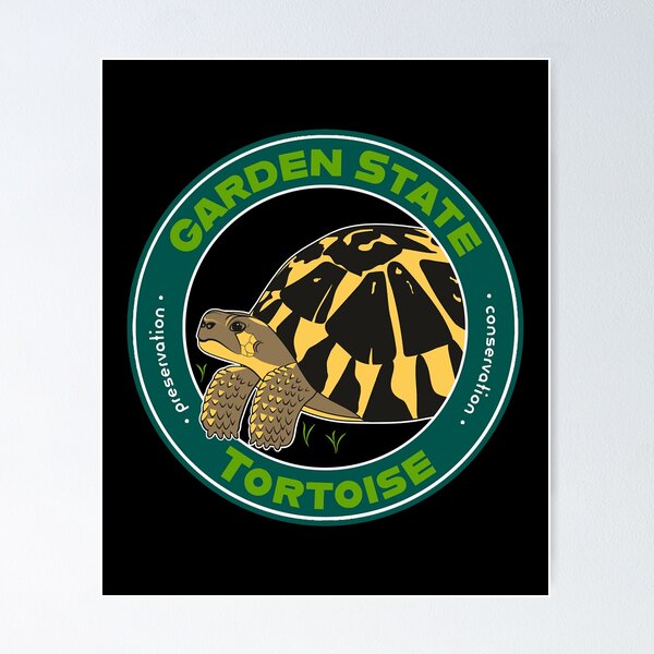 Item preview, Garden State Tortoise Western Hermann's Tortoise designed and sold by AkiisVicne.