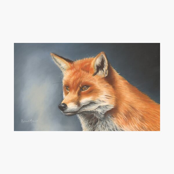 Fox Photographic Print