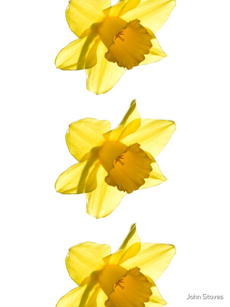 Thumbnail 4 of 4, iPhone Case, Daffodil designed and sold by Ruffus11.