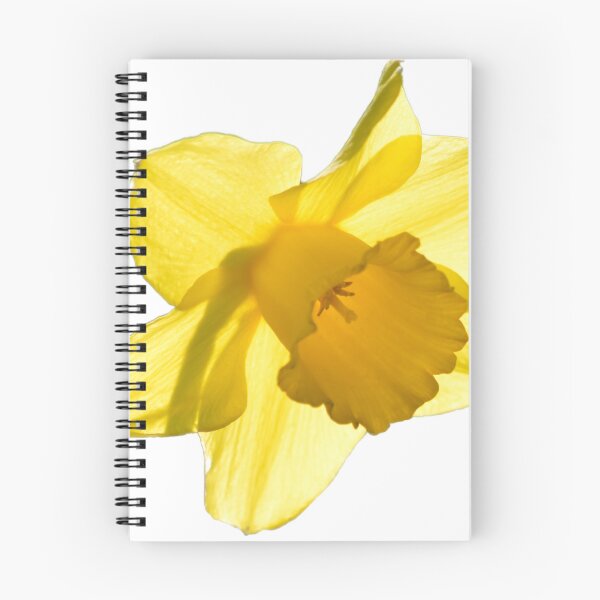 Item preview, Narciso designed and sold by John Stoves.