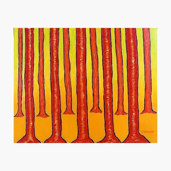 RED TREES Photographic Print