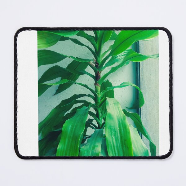 Item preview, plants  designed and sold by rajeshri1104.