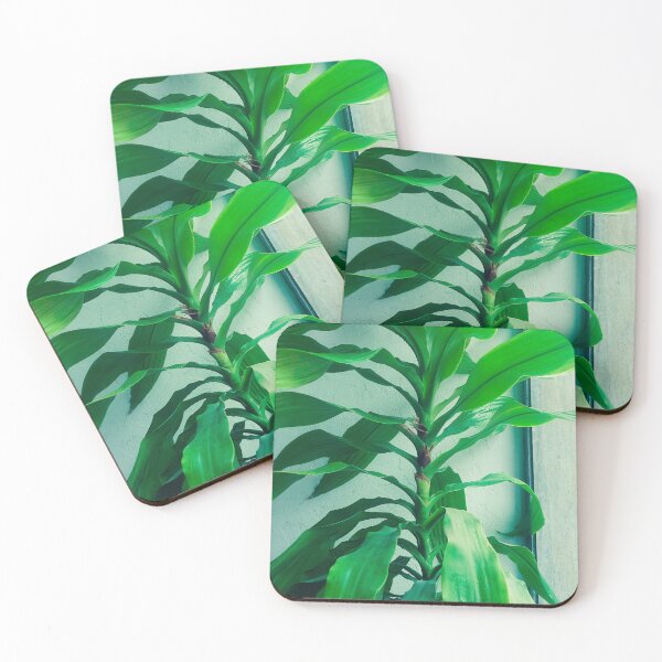 Item preview, plants  designed and sold by rajeshri1104.
