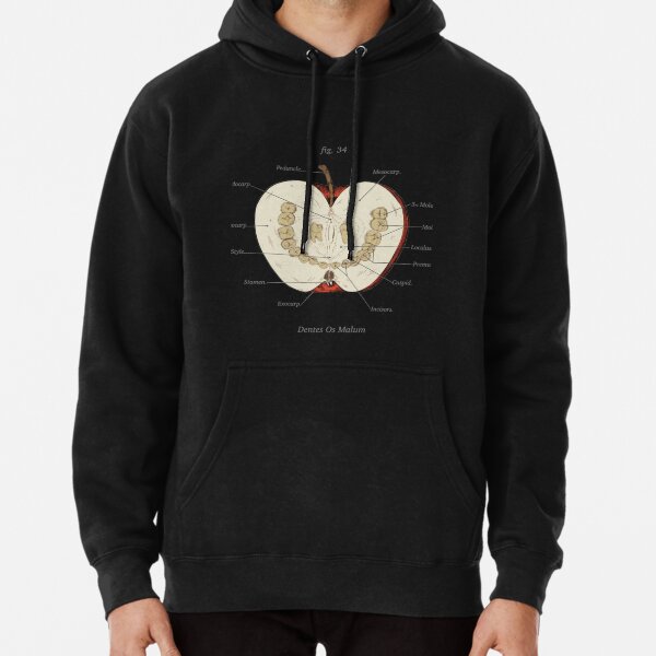 The Magnus Archives Anatomy Class Teeth Apple 628 Pullover Hoodie