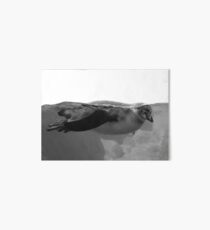Swimming Penguin Art Board
