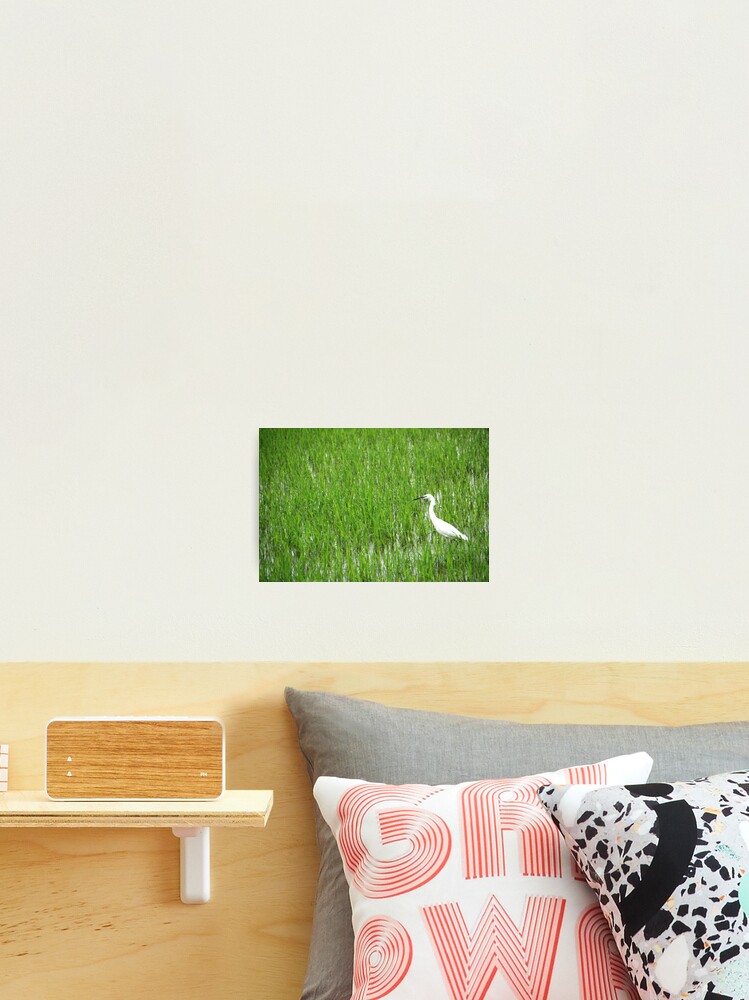 Thumbnail 2 of 3, Photographic Print, Random Image designed and sold by Inishiata.