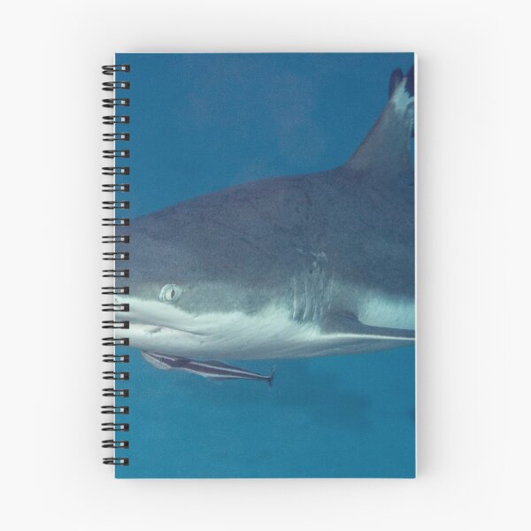 Item preview, Blacktip Reef Shark designed and sold by Mark Rosenstein.