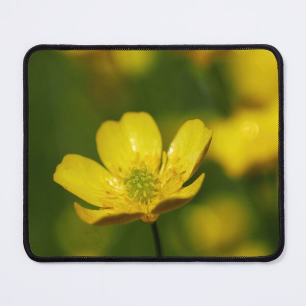 Item preview, Meadow buttercup yellow designed and sold by Jouko Lehto Photography.