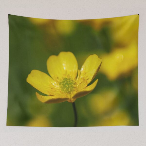 Item preview, Meadow buttercup yellow designed and sold by Jouko Lehto Photography.
