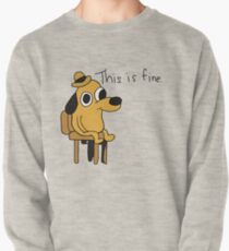 Sudadera cerrada Esto esta bien