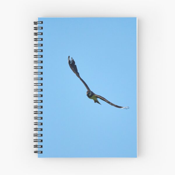 Item preview, Summerwings. Northern lapwing designed and sold by Jouko Lehto Photography.