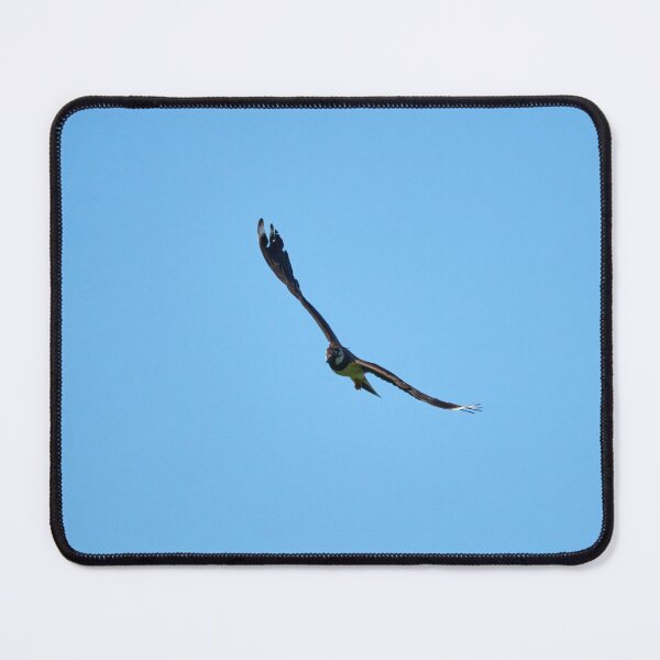 Item preview, Summerwings. Northern lapwing designed and sold by Jouko Lehto Photography.