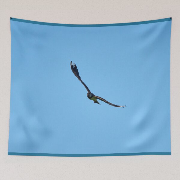 Item preview, Summerwings. Northern lapwing designed and sold by Jouko Lehto Photography.