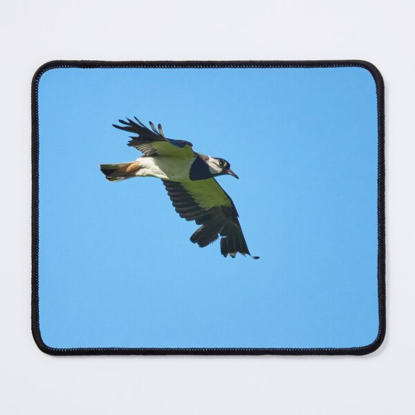 Item preview, Summerwings 2. Northern lapwing designed and sold by Jouko Lehto Photography.
