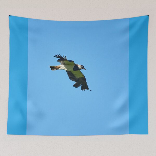 Item preview, Summerwings 2. Northern lapwing designed and sold by Jouko Lehto Photography.