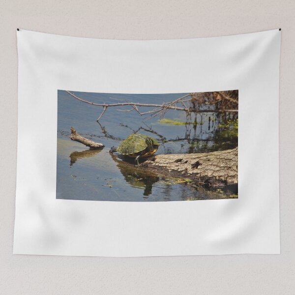 Item preview, Turtle Stretch  designed and sold by Cynthia48.