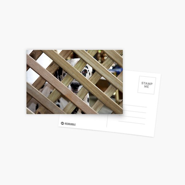 I can see you Postcard