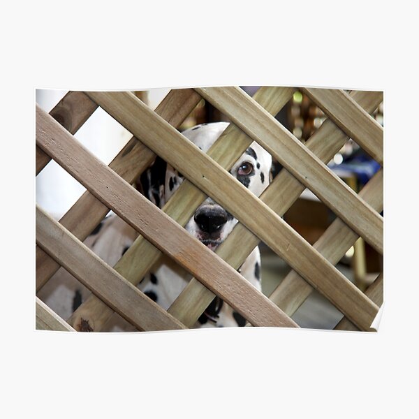 I can see you Poster