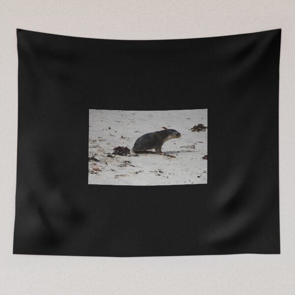 Item preview, Baby Seal designed and sold by jeremydwilliams.